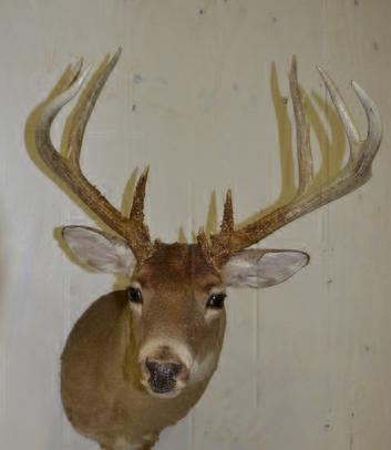 Whitetail Trophy Tracts- It’s Your Hunt!